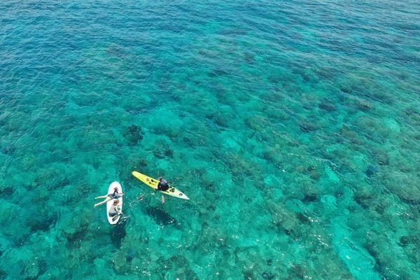Is My Khe Beach Safe for Swimming? A Da Nang Local's Honest Guide