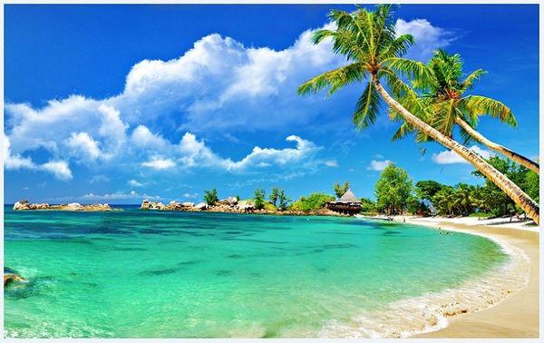 Best Times to visit Da Nang’s Beaches: Unforgettable Coastal Gems Await